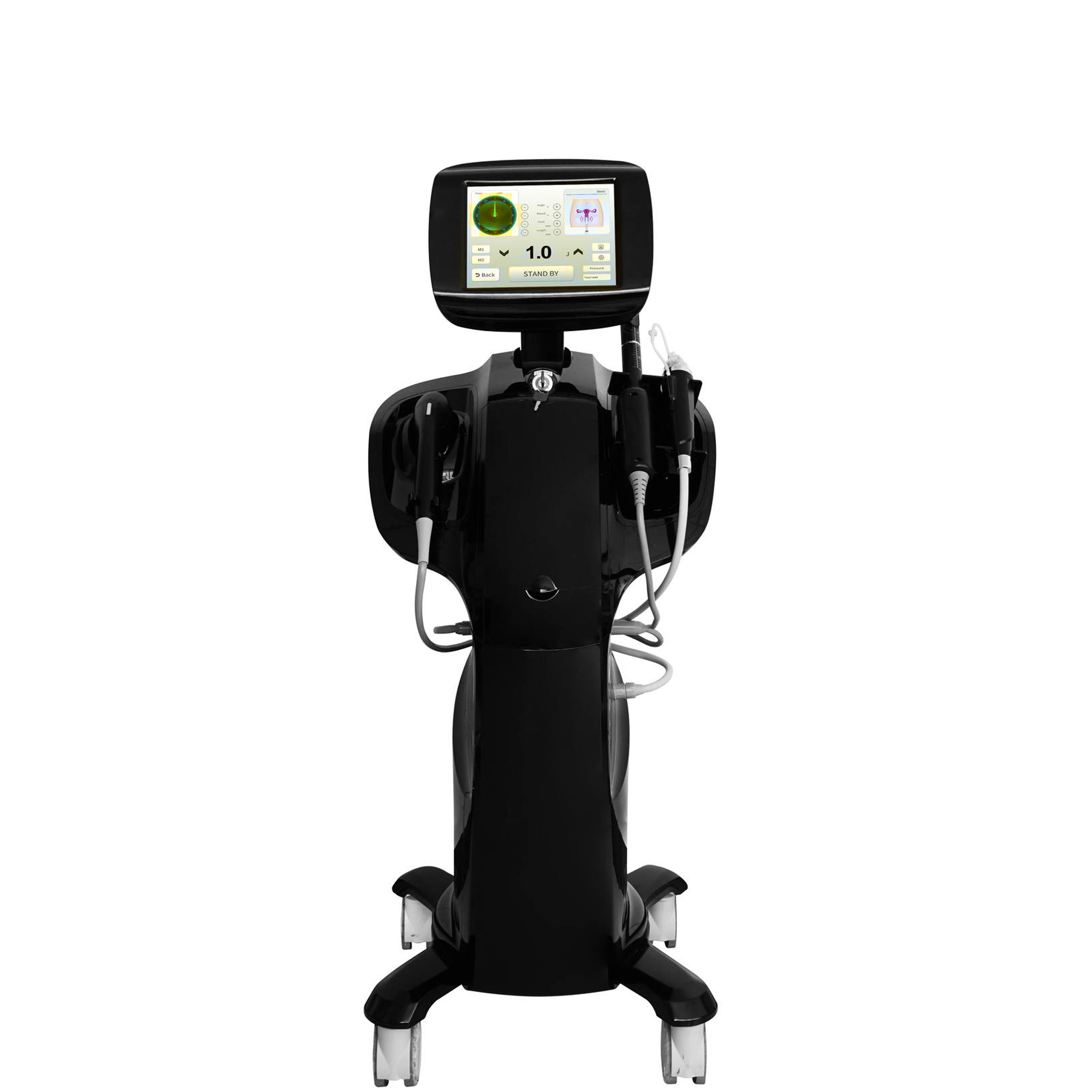Multifunctional Vertical 3 in 1 Hi-Fu with Vaginal with Microneedle RF Machine